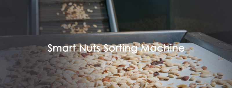 Smart Nuts Sorting Machine